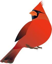 Cardinal